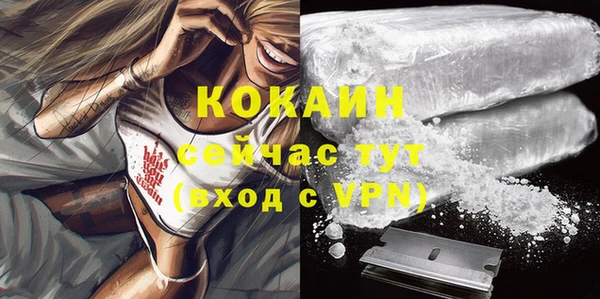 шишки Липки